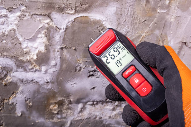 Best Local Mold Removal Service  in Wood Village, OR