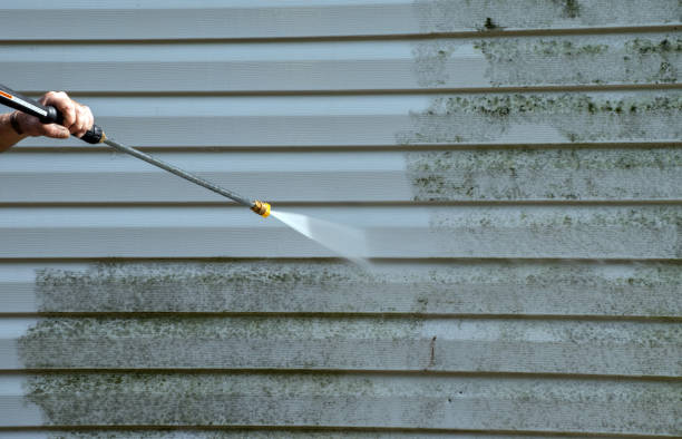 Best Local Mold Removal Service  in Wood Village, OR