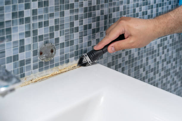 Best Best Mold Removal Companies  in Wood Village, OR