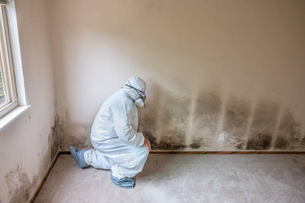 Best Mold Remediation Services  in Wood Village, OR